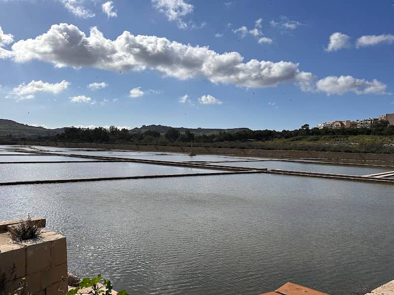 Salina Nature Reserve - Image 1