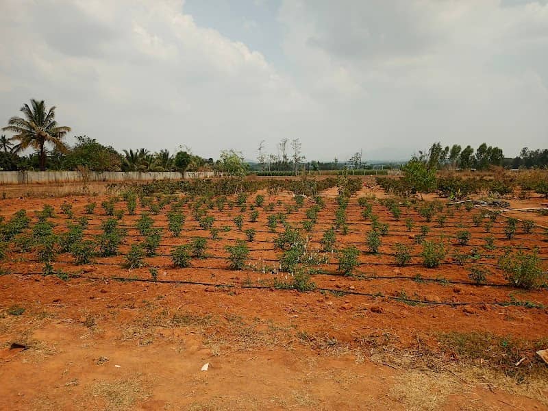 Aradhana farmhouse - Image 1