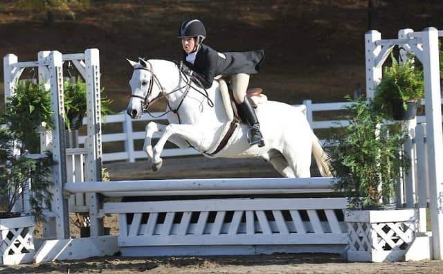 Pleasant Oaks Equestrian Center llc - Image 1