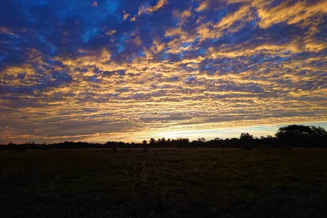 LRWT Cossington Meadows - Image 2
