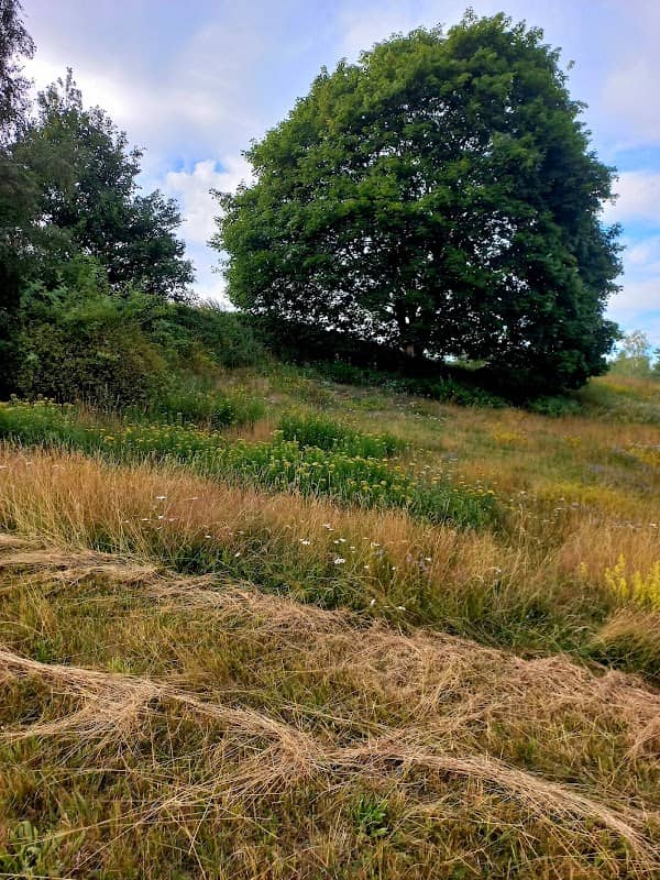 Breviksalpen - Image 1
