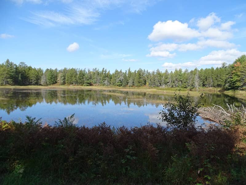 Seney National Wildlife Refuge - Robinson Rd Access Point - Image 2