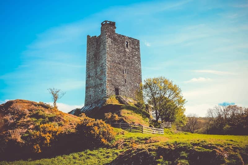 Carrigaphooca Castle - Image 1