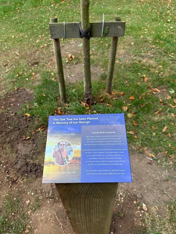 George’s Oak Tree - Image 2