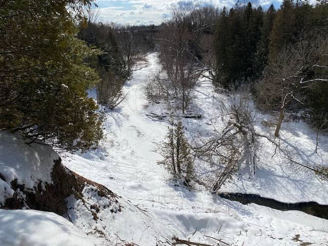 Bird Lookout - Image 1