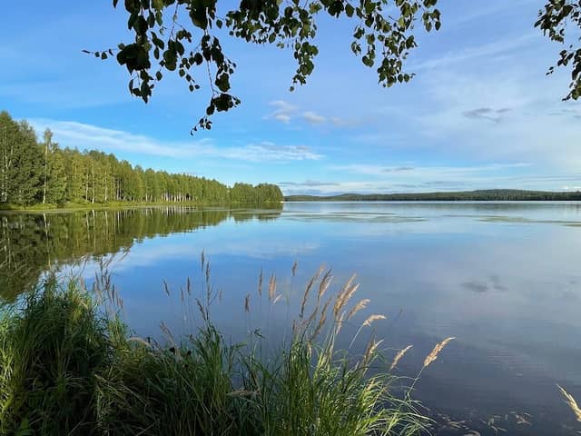 Kolpeneenpuisto - Image 1