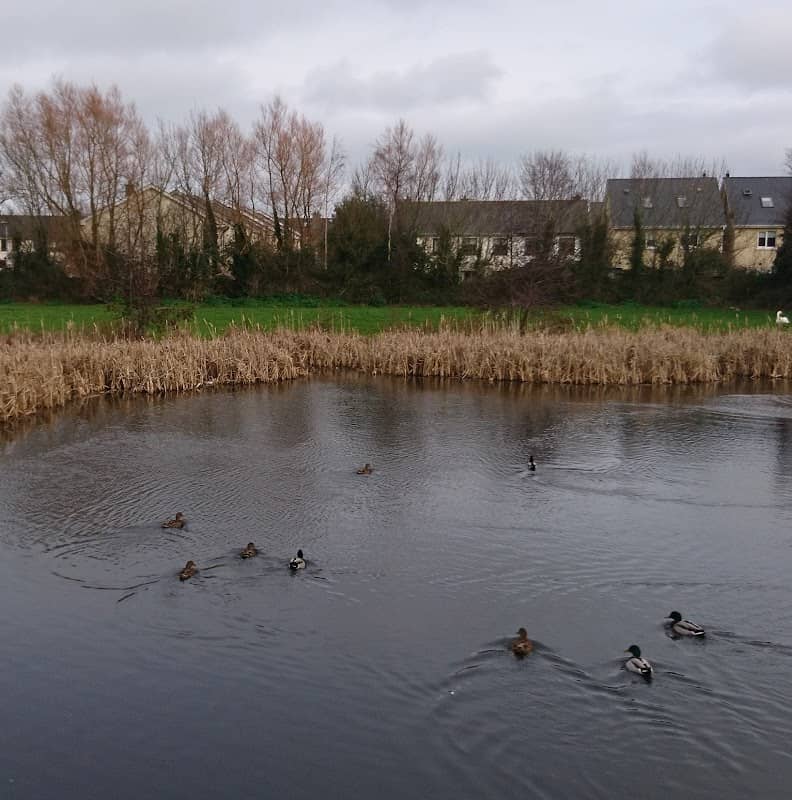 The Kybe Pond - Image 1