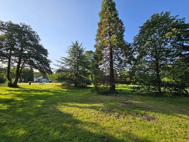 Thursby Gardens - Image 2