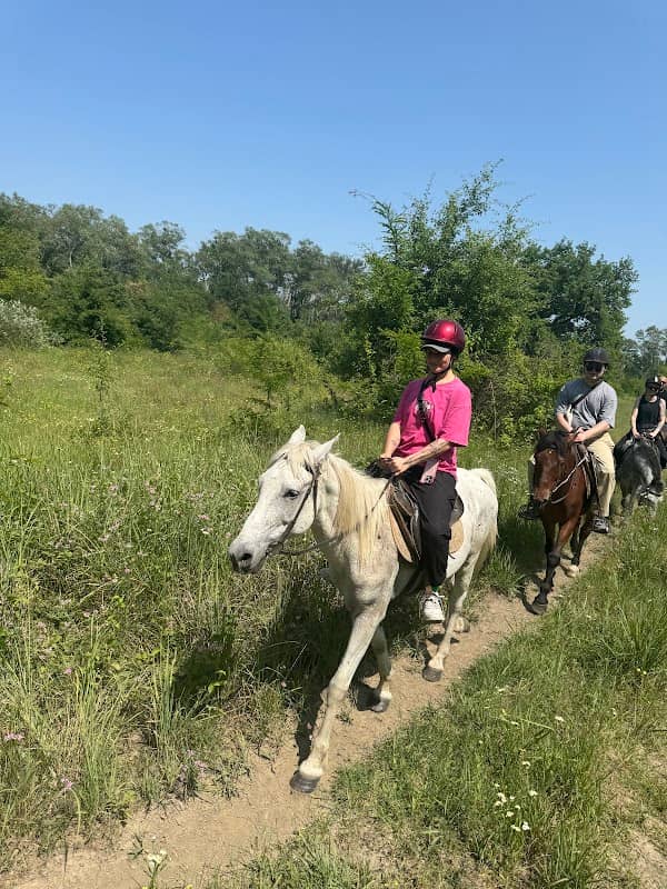 Horse riding Gardabani საცხენოსნო ტური გარდაბნის ეროვნულ პარკში - Image 1