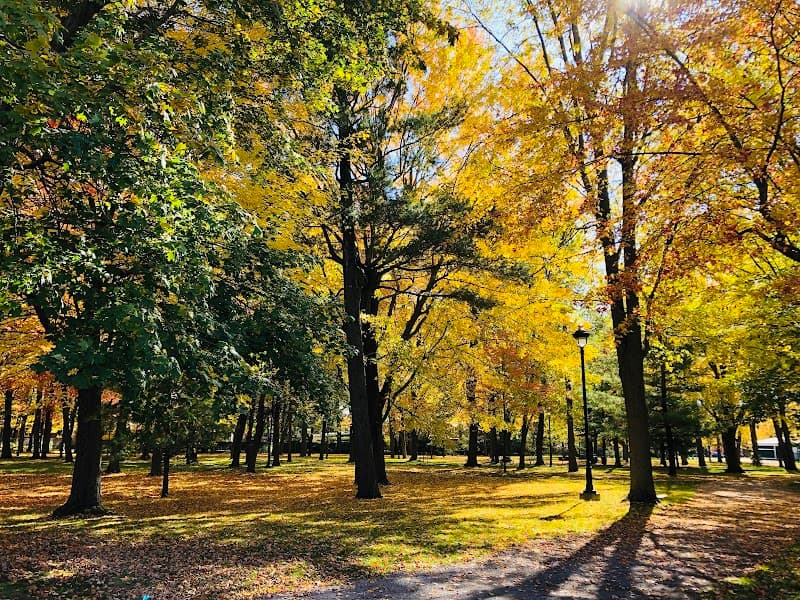 Bois des Pins Park