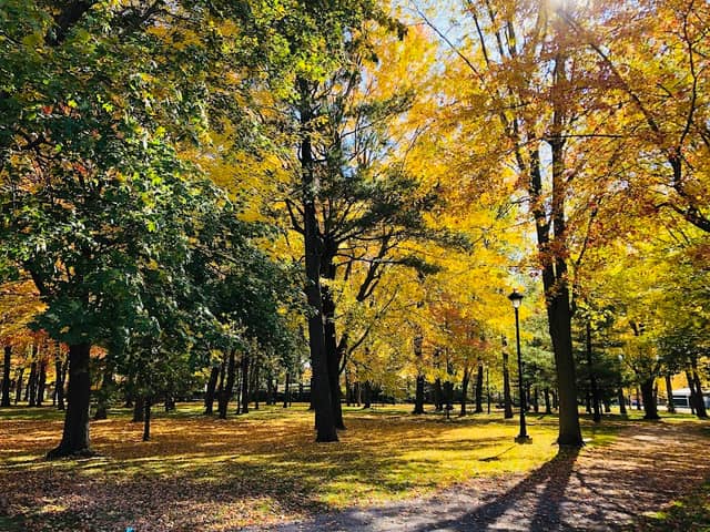 Bois des Pins Park - Image 2