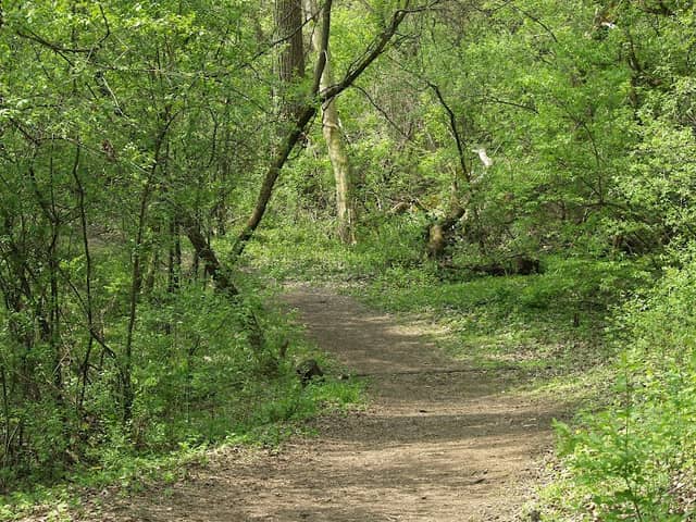 The Hollows Conservation Area - Image 1