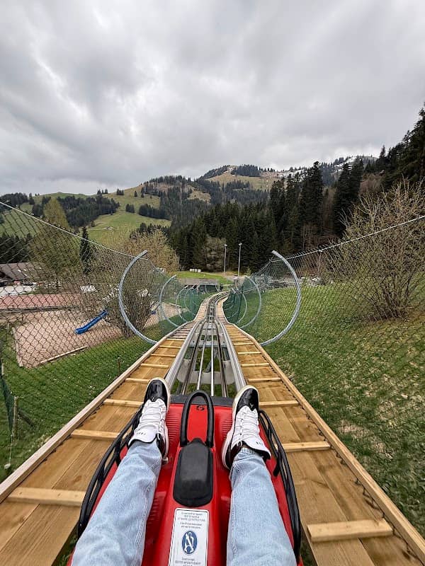 Remonte-pente (bob-luge) - Image 2