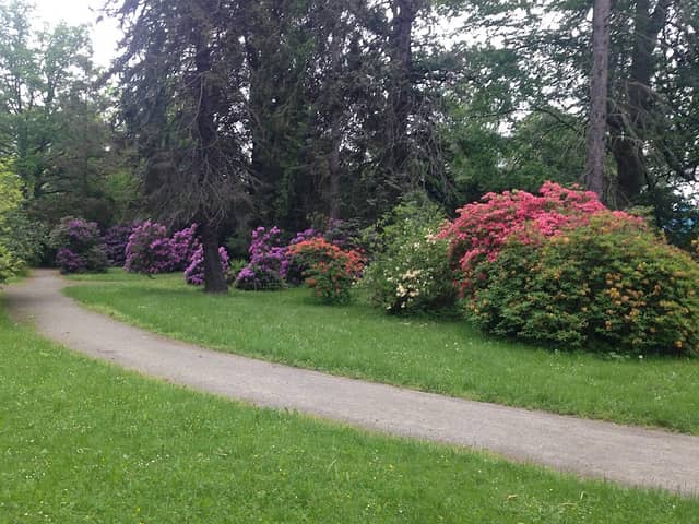 Chářovský Park - Image 3