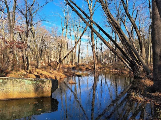 Almonesson Creek Park - Image 1