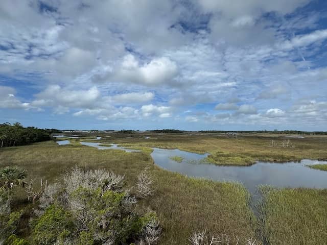 Withlacoochee Gulf Preserve Observation Tower - Image 1
