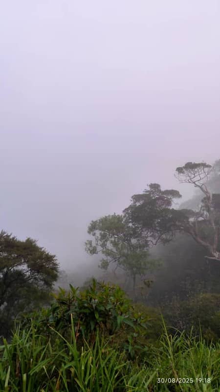 Panoramic view - Image 1