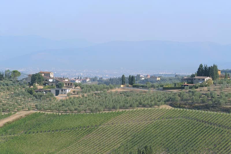 azienda agricola La Querce - Image 1