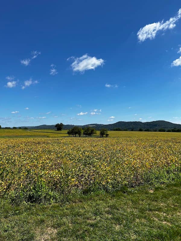 Thomas Stewart Park - Image 1