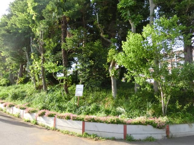 野馬除土手 - Image 2