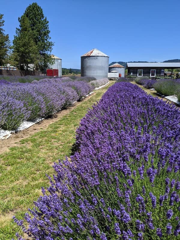 Chehalem Flats Farm Market - Image 1