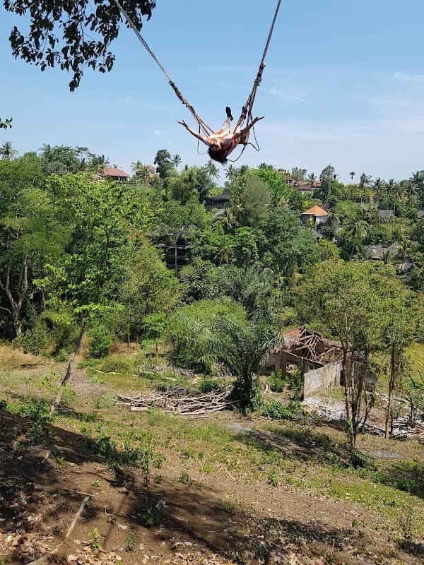 Love Swing Ubud - Image 3