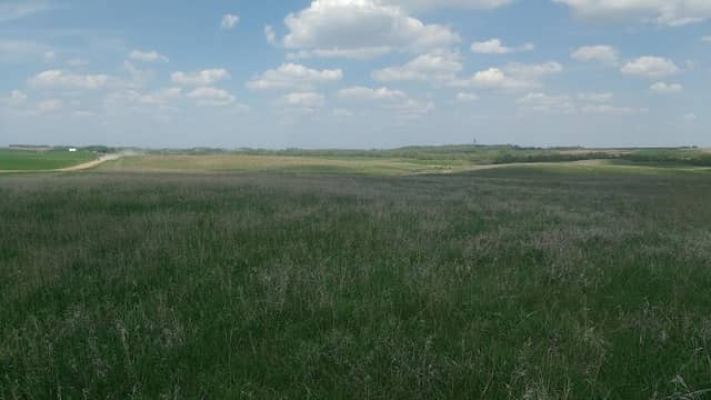 Anderson Prairie - Image 1