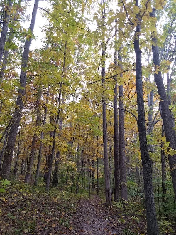 Buford McCord Memorial Park - Image 2