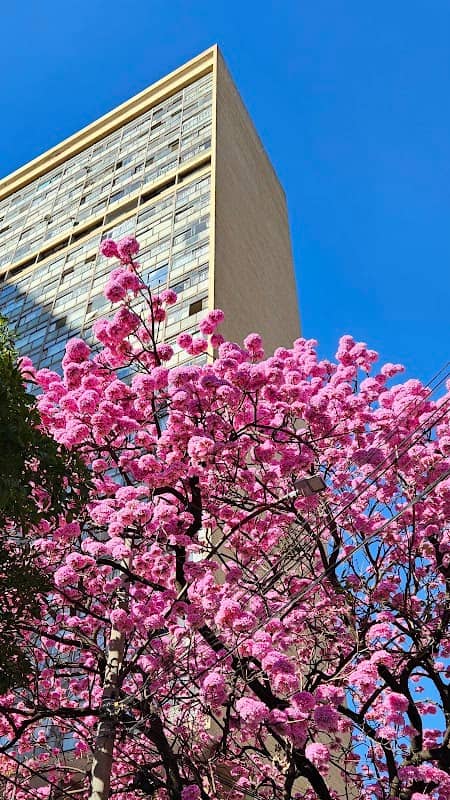 Edifício JK - Image 3