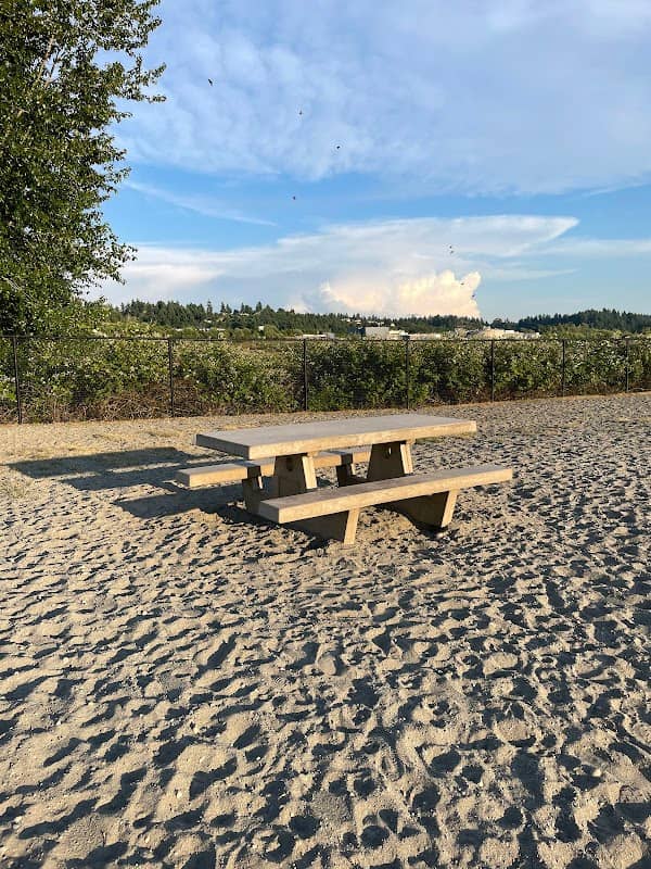 Chambers Bay Off Leash Dog Park - Image 2
