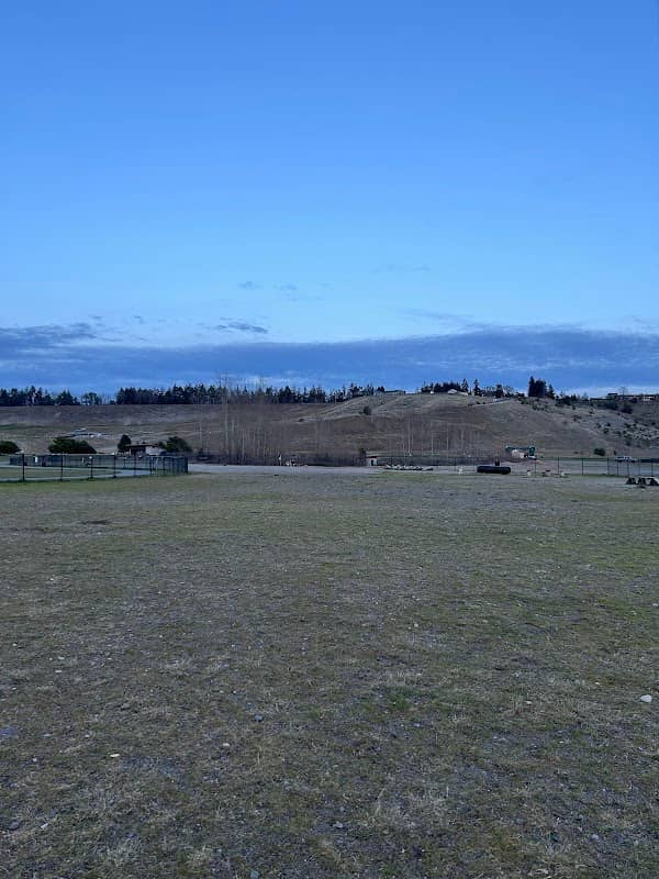 Chambers Bay Off Leash Dog Park - Image 1