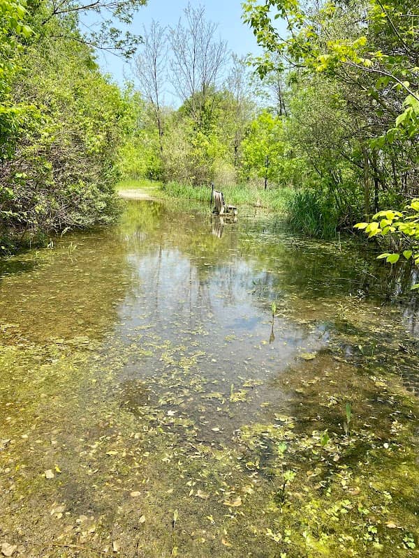 Johnstown Mastodon Preserve - Image 1