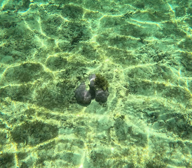 Le Morne Beach - Image 1