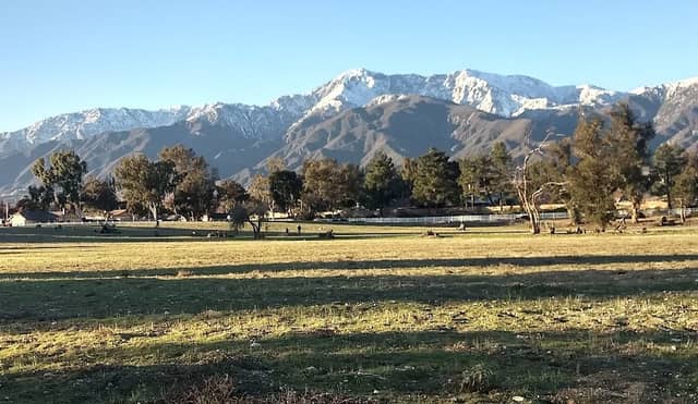 Windrows Park - Image 3