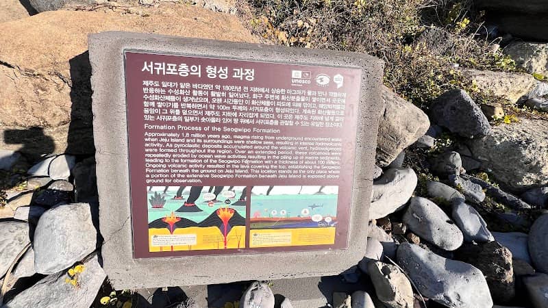 서귀포층패류화석 - Image 2