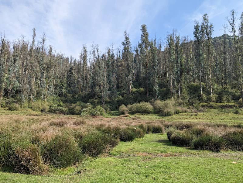 Scenic Spot - Image 1