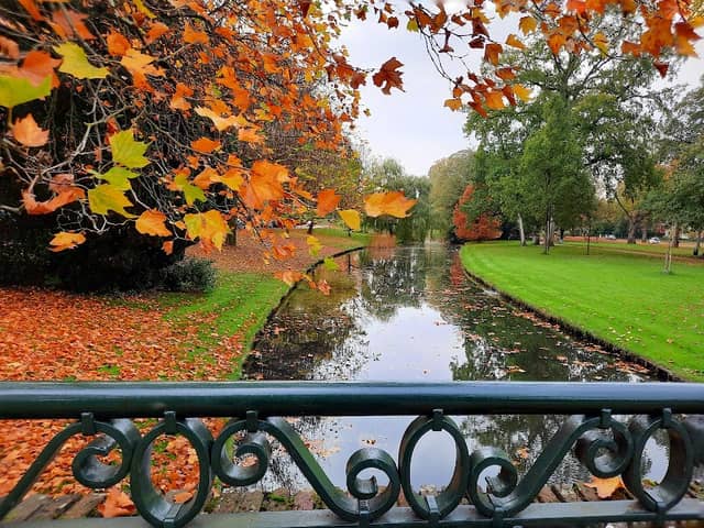 Wilhelminapark - Image 1