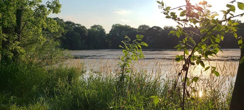 Berry Patch Park - Image 1