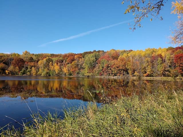Berry Patch Park - Image 3