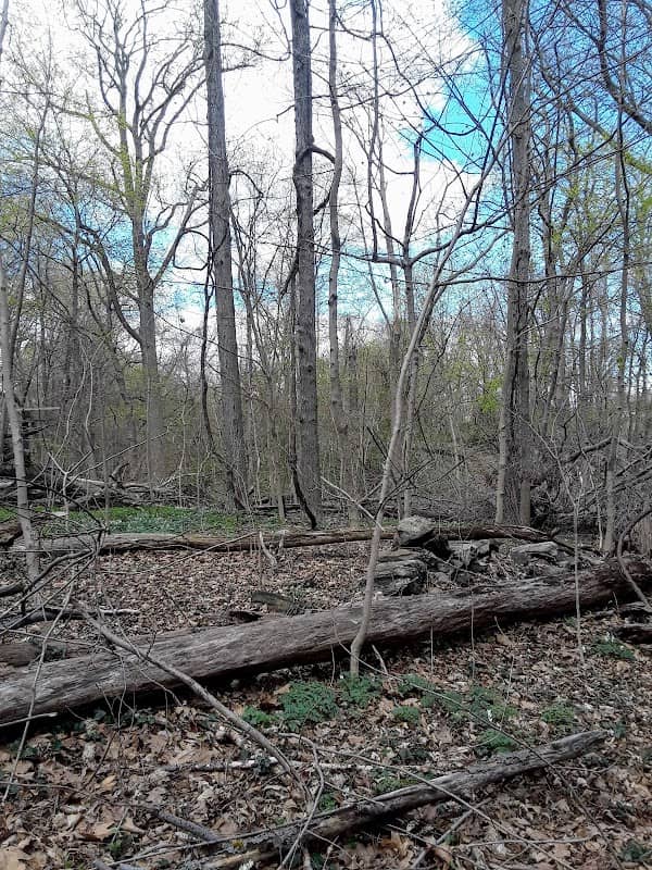 Welty Park - Image 2