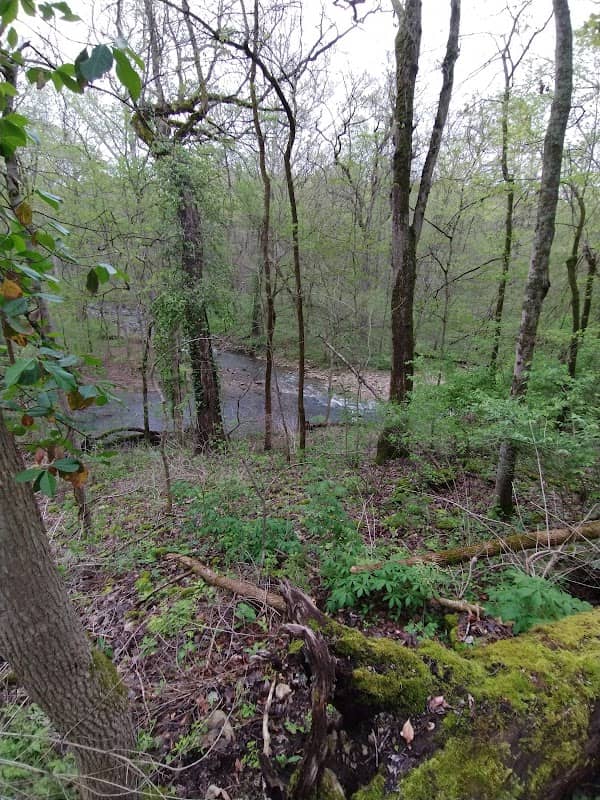 Talus Trail - Image 1