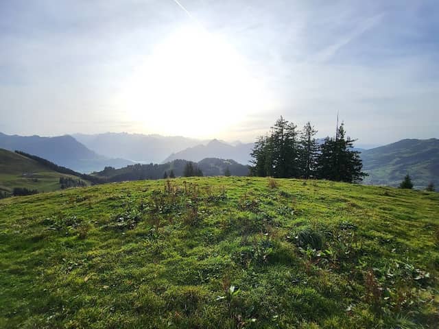 Spilmettlen - Image 1