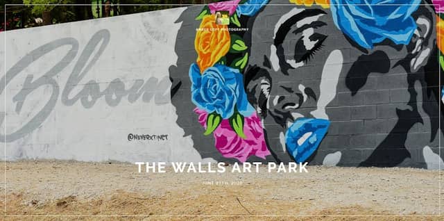 The Walls Art Park - Image 1