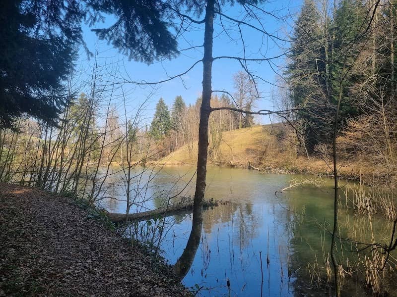 Zuckermattweiher - Image 1