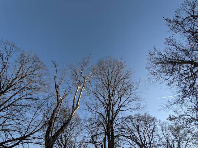 Thompson Park - Image 1