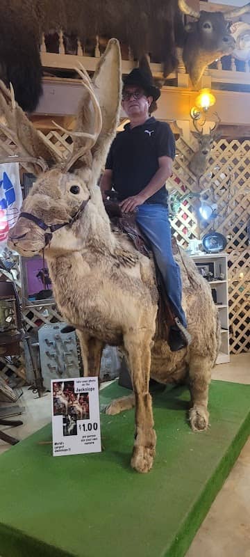 Cowboy Museum - Image 1