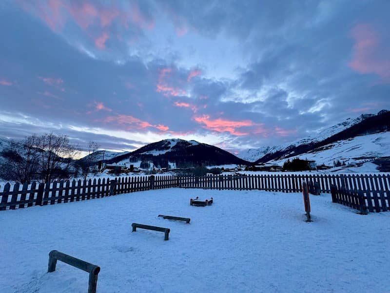 Area cani - Image 1
