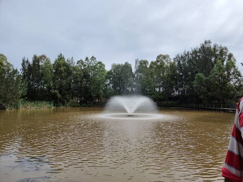 Knot Street Lake/Waterside - Lake 4 - Image 1