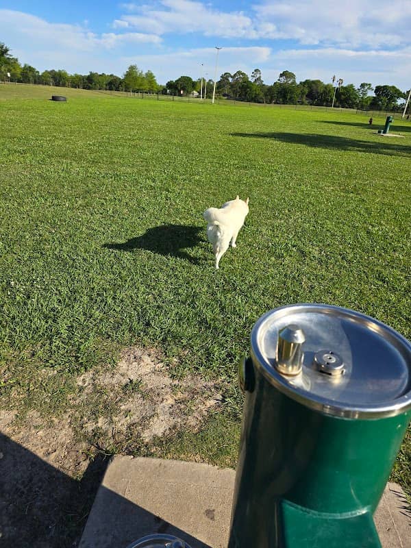 Bob Briscoe Park - Image 2