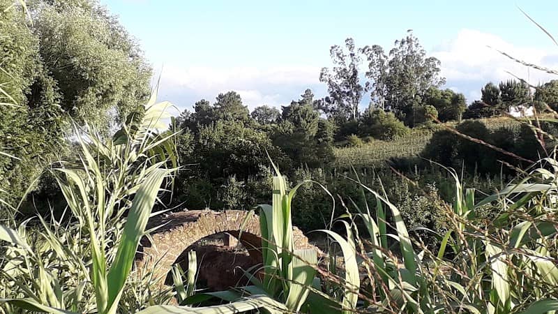 Ponte Romana - Image 2